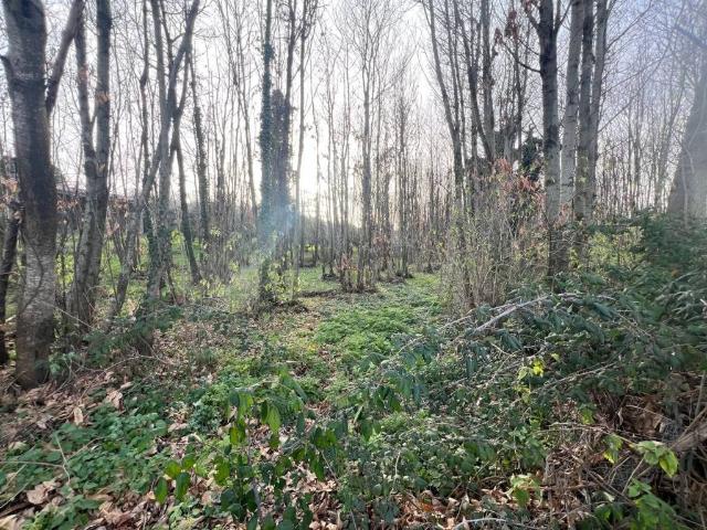 Terreno in vendita a Roma Capitale, Lazio
