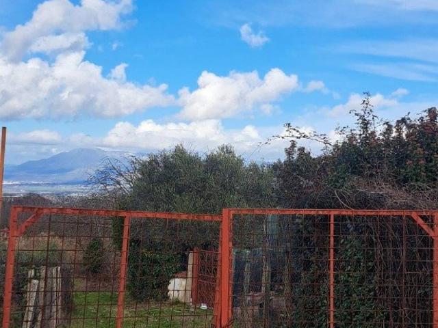 Terreno in vendita a Roma Capitale, Lazio