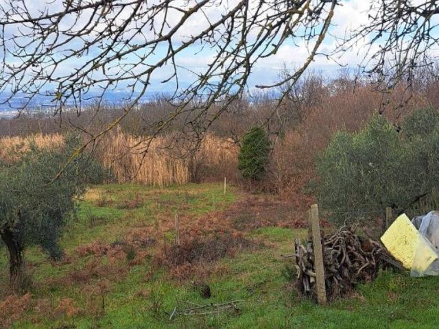 Terreno in vendita a Roma Capitale, Lazio