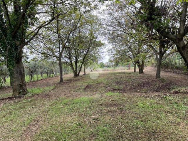 Terreno in vendita a Roma Capitale, Lazio