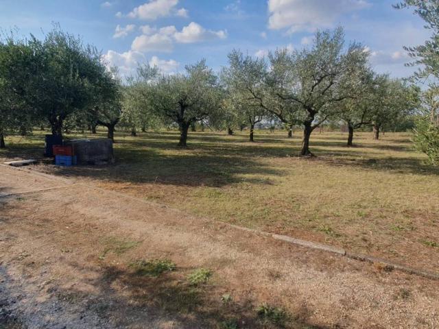 Terreno in vendita a Roma Capitale, Lazio