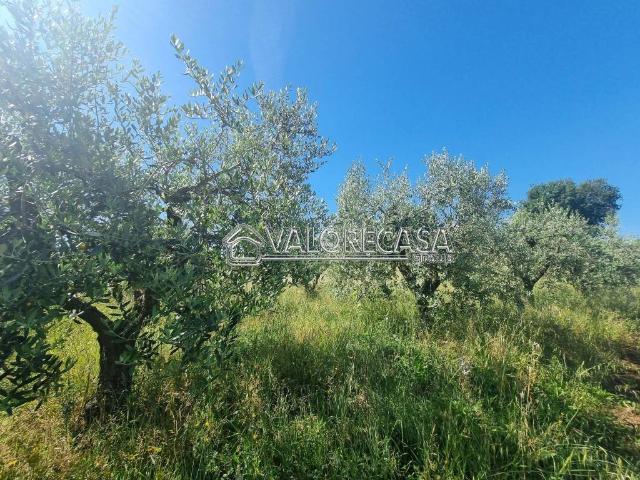 Terreno in vendita a Roma Capitale, Lazio