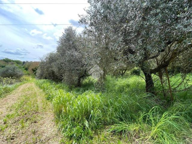 Terreno in vendita a Roma Capitale, Lazio