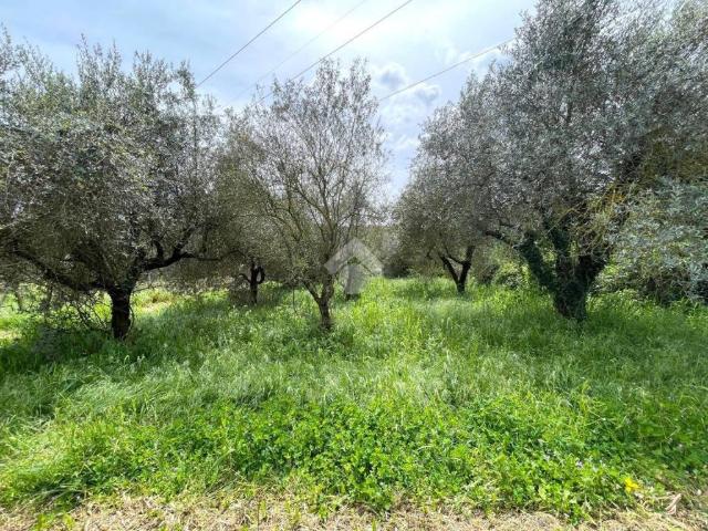 Terreno in vendita a Roma Capitale, Lazio