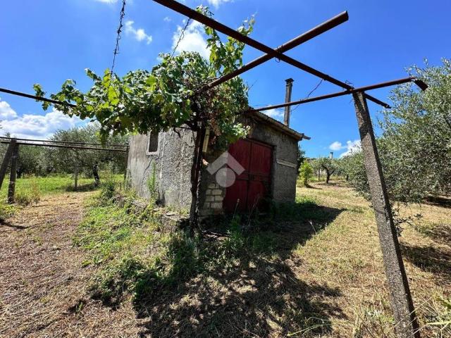 Terreno in vendita a Zona Industriale Artigianale, Roma Capitale