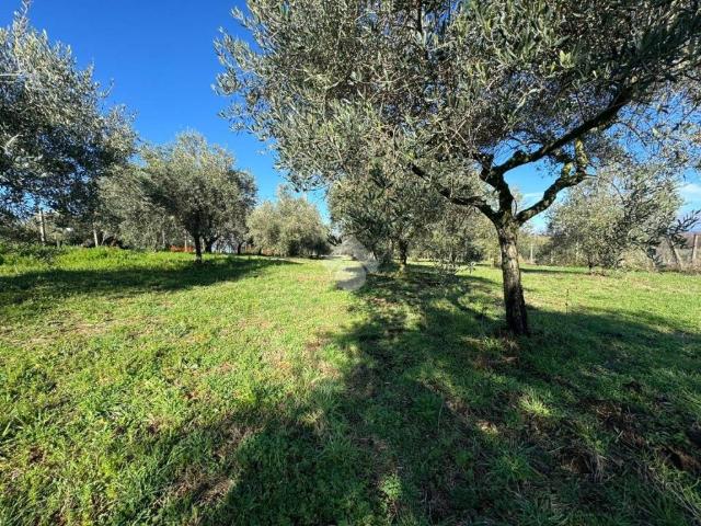 Terreno in vendita a Roma Capitale, Lazio