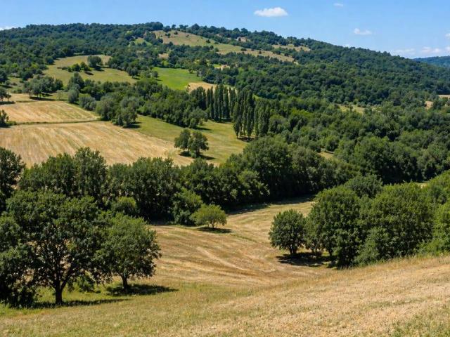 Terreno in vendita a San Cipriano Picentino, Campania