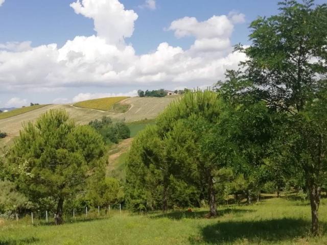 Terreno in vendita a San Clemente, Reggio Emilia