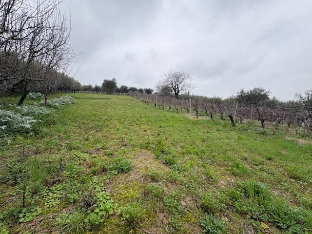 Terreno in vendita a San Clemente, Reggio Emilia