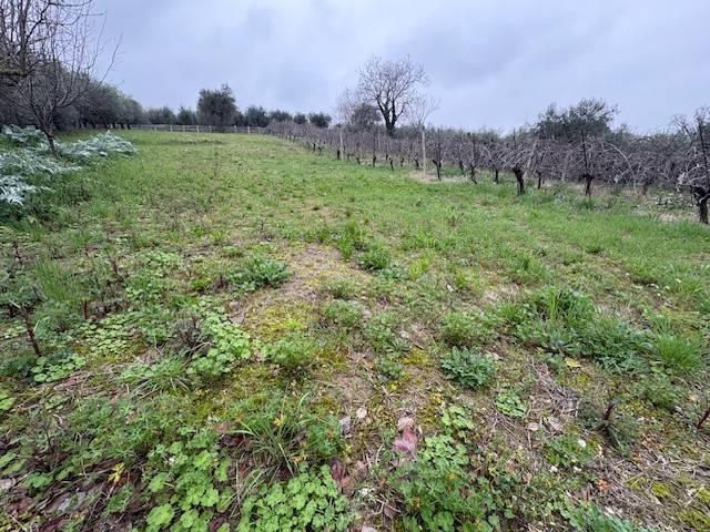 Terreno in vendita a San Clemente, Reggio Emilia