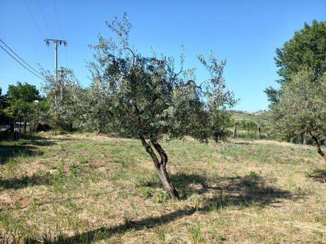Terreno in vendita a San Clemente, Reggio Emilia