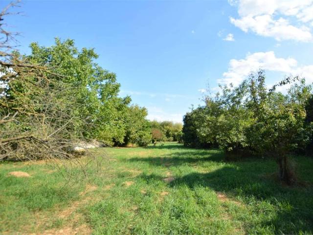 Terreno in vendita a Gerette, San Colombano Al Lambro