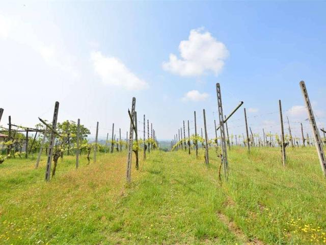 Terreno in vendita a San Colombano Al Lambro, Lombardia