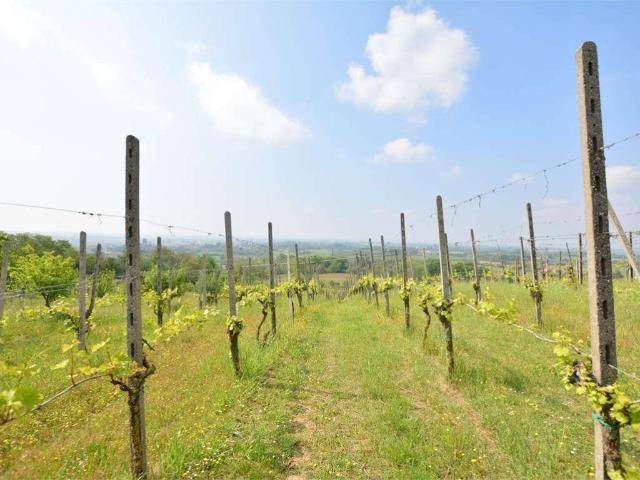 Terreno in vendita a San Colombano Al Lambro, Lombardia