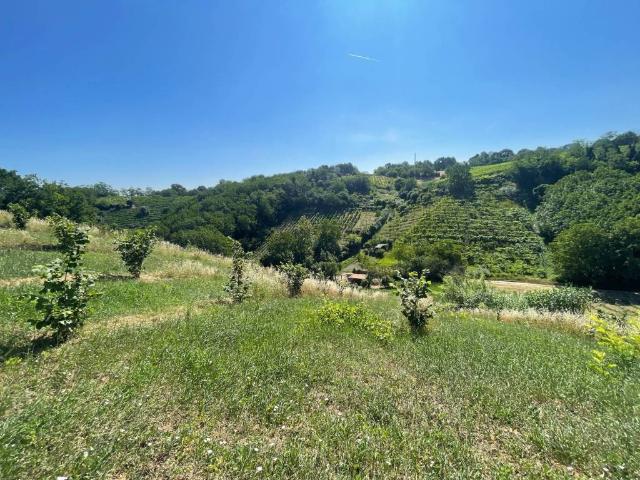 Terreno in vendita a San Colombano Al Lambro, Lombardia
