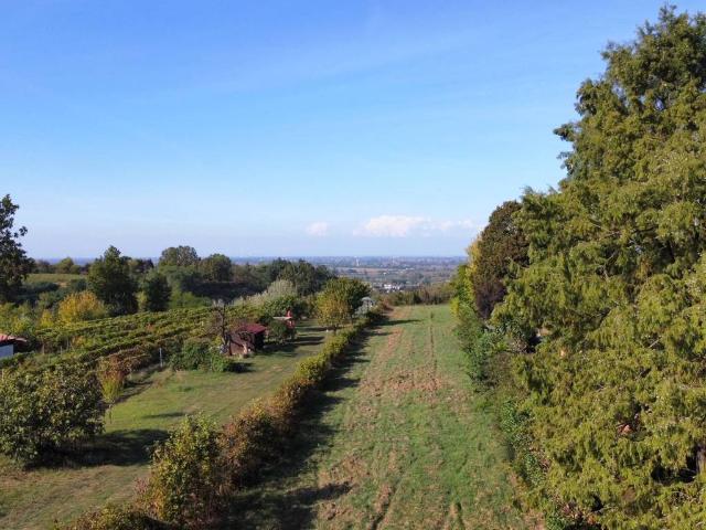 Terreno in vendita a San Colombano Al Lambro, Lombardia