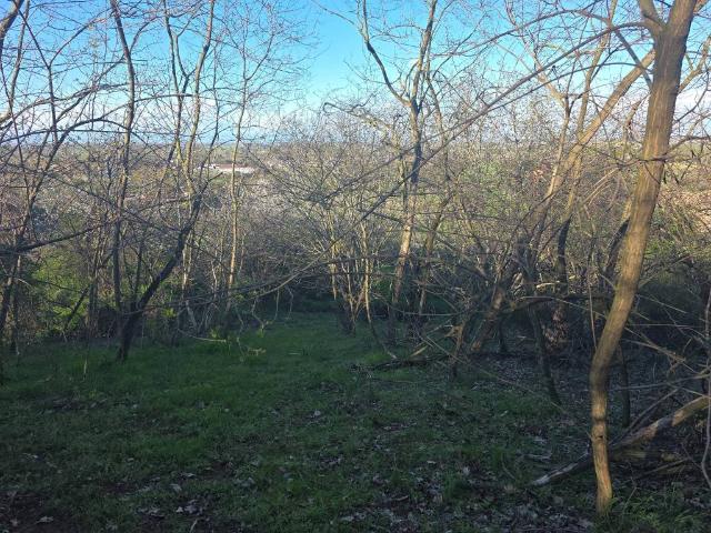Terreno in vendita a Campagna, San Colombano Al Lambro