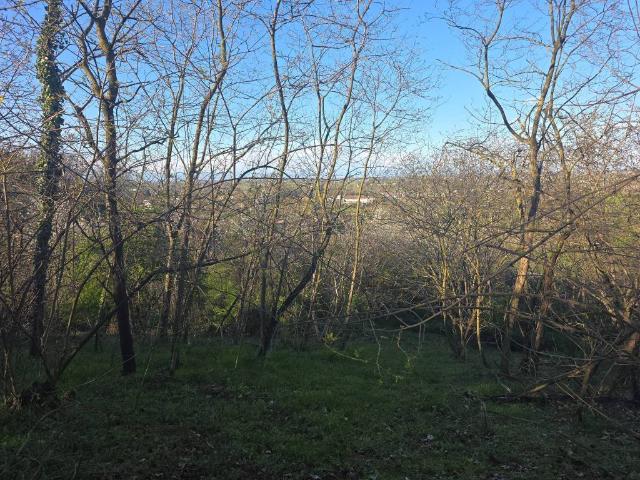 Terreno in vendita a Campagna, San Colombano Al Lambro