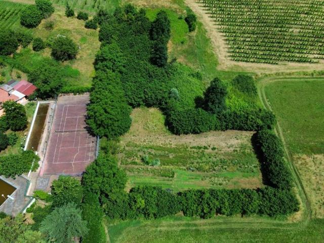 Terreno in vendita a San Colombano Al Lambro, Lombardia