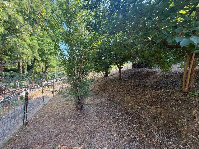 Terreno in vendita a San Colombano Al Lambro, Lombardia