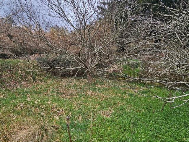 Terreno in vendita a San Colombano Certenoli, Orero