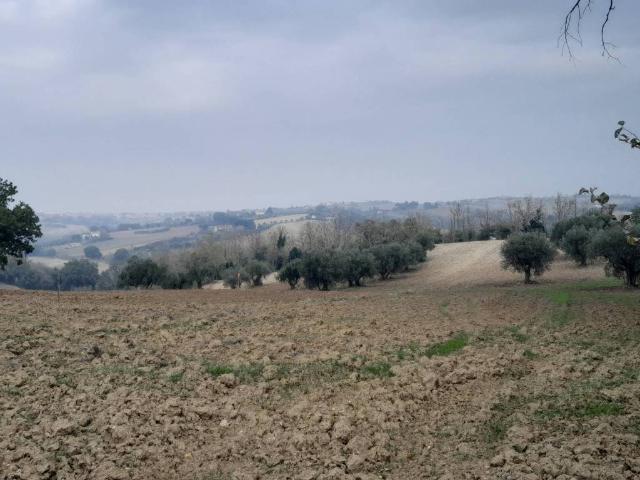 Terreno in vendita a Marche, Pesaro E Urbino