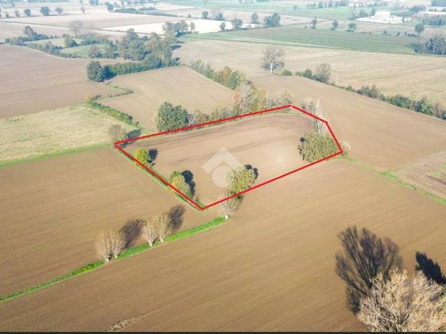 Terreno in vendita a San Daniele Po, Lombardia
