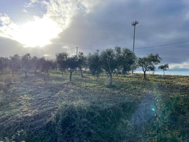 Terreno in vendita a Calabria, Cosenza