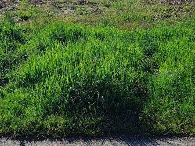 Terreno in vendita a San Donà Di Piave, Veneto