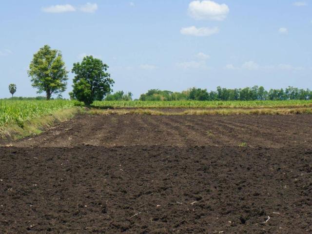 Terreno in vendita a Grassaga, San Donà di Piave