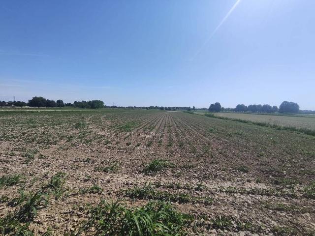 Terreno in vendita a Chiesanuova, San Donà di Piave