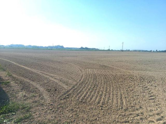 Terreno in vendita a Isiata, San Donà di Piave