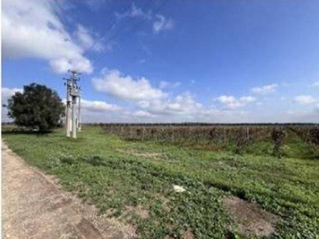 Terreno in vendita a Puglia, Brindisi