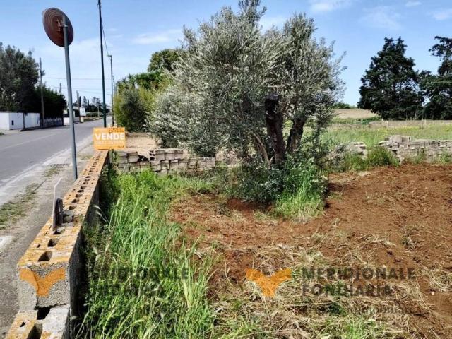 Terreno in vendita a Puglia, Lecce
