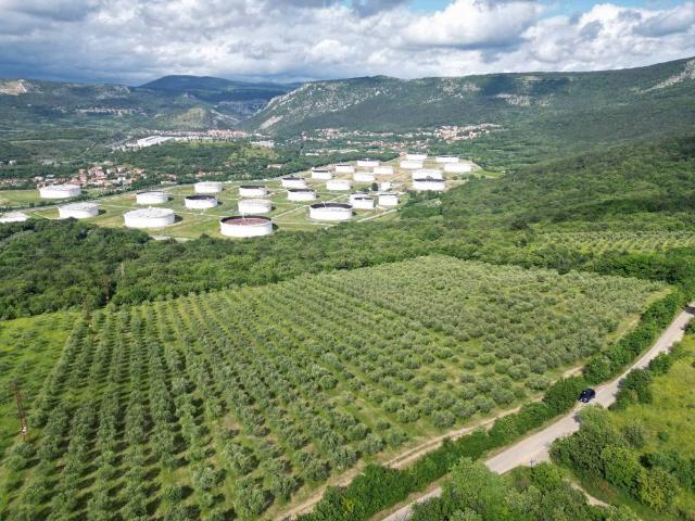 Terreno in vendita a San Dorligo Della Valle, Friuli-Venezia Giulia