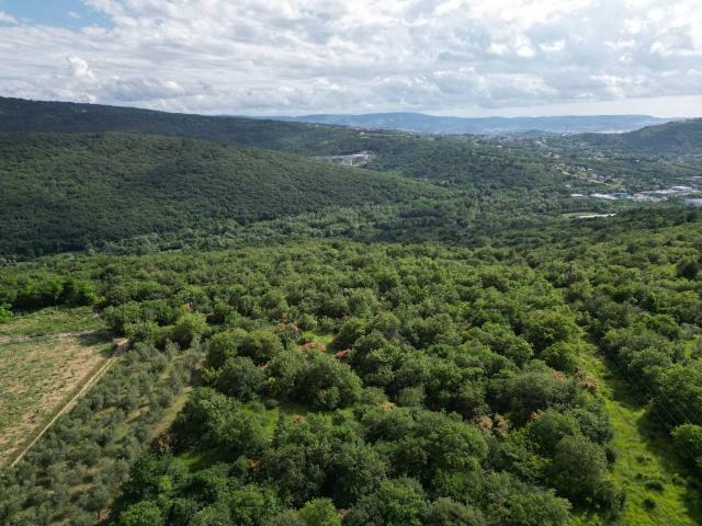 Terreno in vendita a San Dorligo Della Valle, Friuli-Venezia Giulia