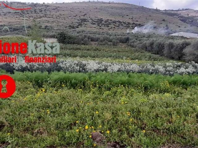 Terreno in vendita a San Felice A Cancello, Campania