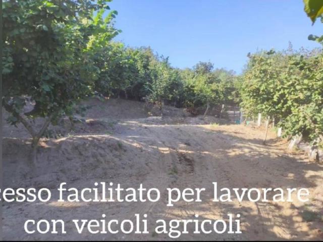 Terreno in vendita a San Felice A Cancello, Campania
