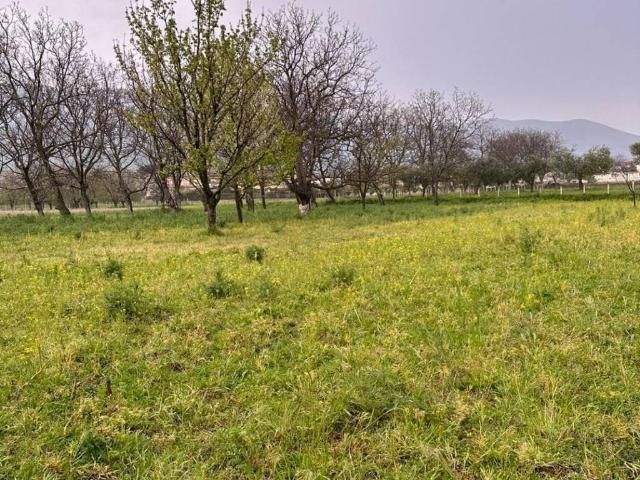 Terreno in vendita a San Felice a Cancello