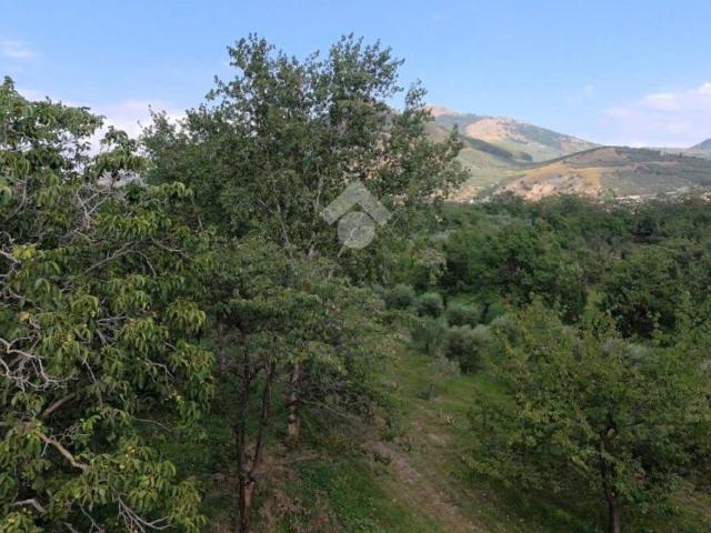 Terreno in vendita a Santa Maria A Vico, Campania