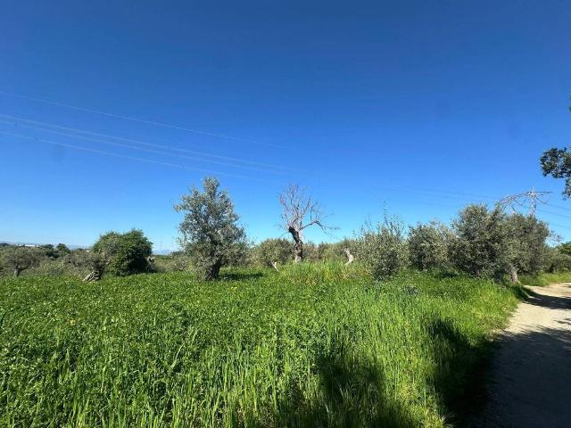 Terreno in vendita a San Filippo Del Mela, Sicilia