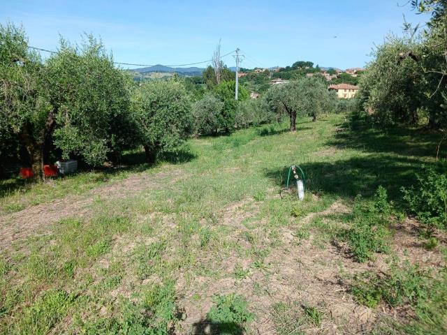 Terreno in vendita a San Gemini, Umbria