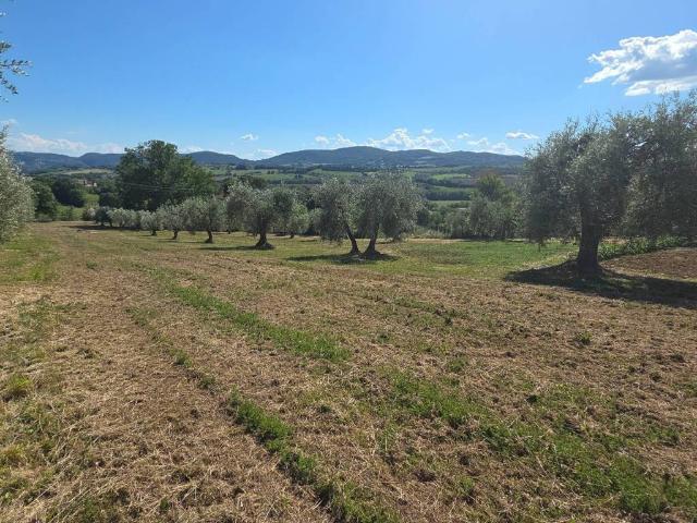 Terreno in vendita a San Gemini, Umbria