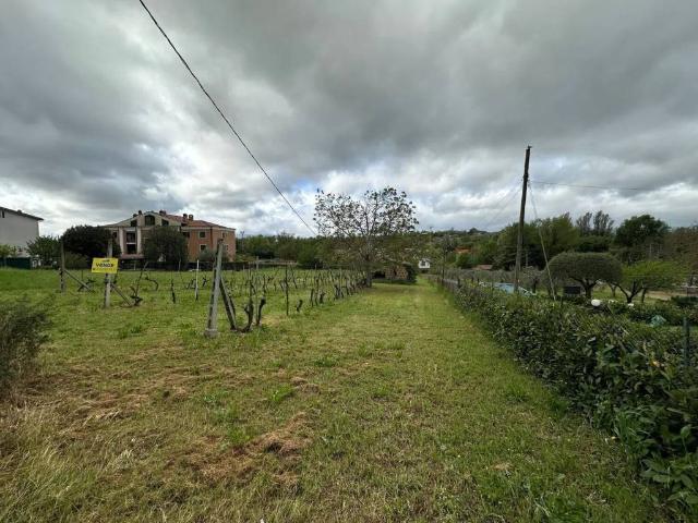 Terreno in vendita a San Gemini, Umbria