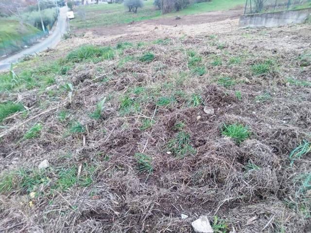 Terreno in vendita a San Gemini, Umbria