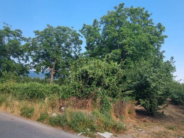 Terreno in vendita a Palma Campania, Campania