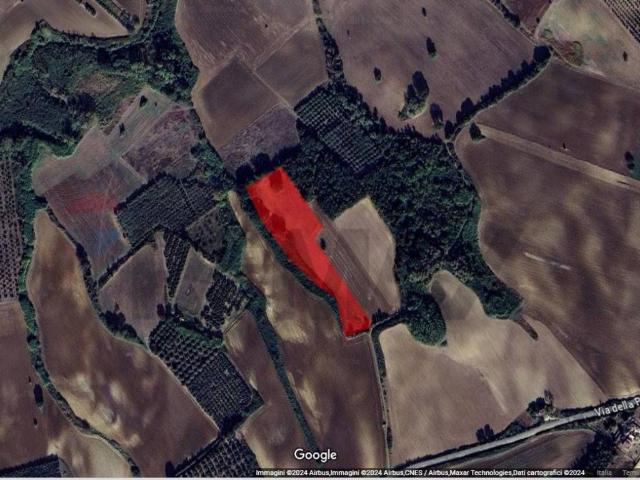 Terreno in vendita a San Giacomo Degli Schiavoni, Molise