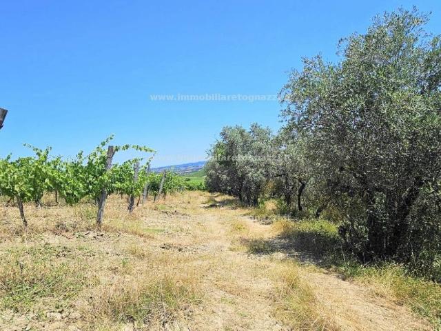Terreno in vendita a San Gimignano, Toscana