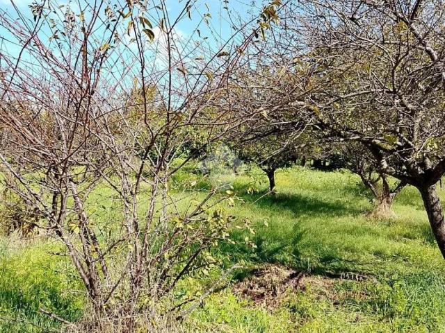 Terreno in vendita a Municipalità 6, San Giorgio A Cremano