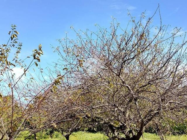 Terreno in vendita a Municipalità 6, San Giorgio A Cremano